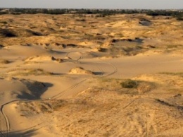 В Олешковских песках возобновили экскурсии