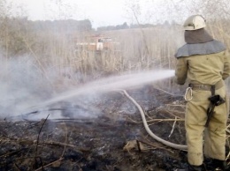 На Киевщине не утихают пожары