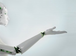 В Японии пройдет Всемирный съезд роботов