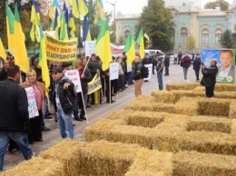 Аграрии под Радой сеном выложили номер желаемого закона