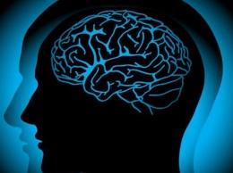 Ученые: Мозг запоминает информацию не удаляя при этом старую