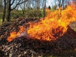 Сжигание сухой листвы - вред здоровью и окружающей среде