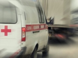 В Челябинской области в ДТП с грузовиком погибли два пенсионера