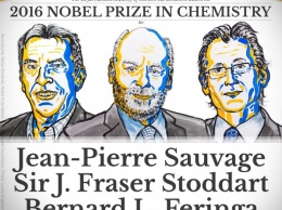 Нобелевскую премию по химии вручили за синтез молекулярных машин