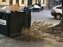 Одессит вынес елку за три месяца до Нового года (ФОТО)