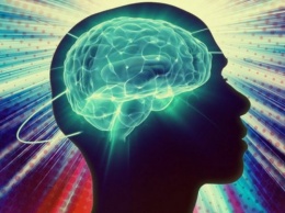 Ученые разработали новый механизм нейропротекции при травмах мозга