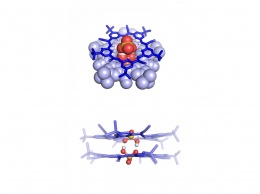 Химики опровергли закон Кулона супрамолекулой из двух анионов