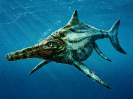 Ученые открыли два новых вида ихтиозавров
