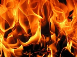 На пожарах в Украине погибли более 1100 человек
