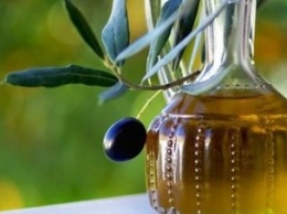 Ученые опровергли пользу оливкового масла