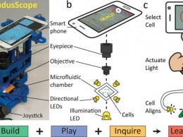 Американские ученые создали "игровую консоль" с микробами
