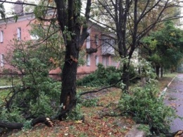 В Донецке ураганный ветер нанес серьезные разрушения (ФОТО)