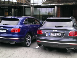 Сладкая парочка: сразу два люксовых внедорожника Bentley Bentayga в Киеве!
