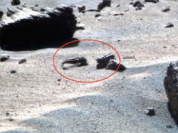 На снимках NASA, сделанных на Марсе, нашли "мертвое скорпионоподобное существо"