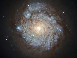 Hubble раскрыл тайну «контрастной» галактики
