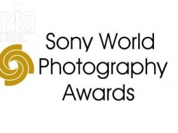 Удивительные краски и невероятные животные: лучшие фото конкурса Sony World Photography Awards