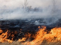 Под Павлоградом сгоревшая трава маскировала стихийную свалку