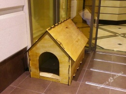 В Одессе собаке подарили жилье в новострое (фото)