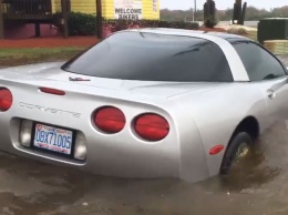 Печальное зрелище: Chevrolet Corvette, ставший жертвой урагана Мэтью