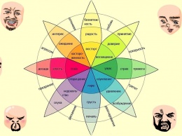 Узнайте, что говорит о вас цветовое колесо эмоций!