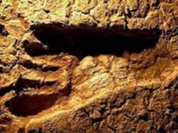 Вблизи африканского вулкана учеными были обнаружены следы древних людей