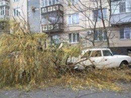 Появились первые жертвы шторма в Одессе (видео)