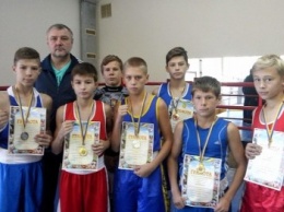 Юные боксеры Бердянска успешно выступили на чемпионате Запорожской области