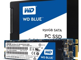 Western Digital представила свои первые SSD-накопители WD Green и WD Blue