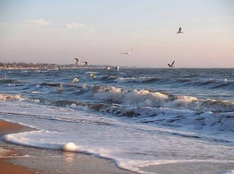 Комиссия по пляжам Бердянска подвела итоги за июнь