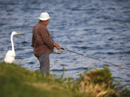 Рыбалку предлагают включить в программу Олимпийских игр