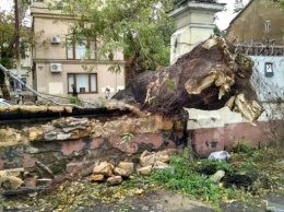 Центр Одессы после шторма: бурелом на Соборке, разрушения на Канатной и ремонт у мэрии
