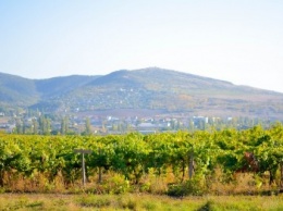 Достопримечательности Крыма: как выглядят виноградники осенью