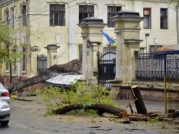 Центр Одессы серьезно пострадал от разрушений из-за непогоды (ФОТО)