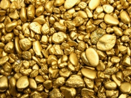 В Приамурье мужчине грозит 5 лет тюрьмы за хранение 880 граммов золота