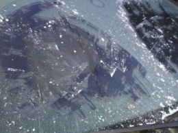 Тульские полицейские спасли замерзающего в чужой машине угонщика