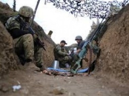 Военнослужащие Украины не сдавали Водяное, - волонтеры (ВИДЕО)