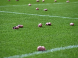 Фанаты выкинули на поле сотни свиней и сорвали футбольный матч