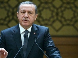 Эрдоган: Мы не можем бросить соотечественников в Крыму