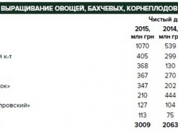 Николаевская компания "Органик системз" вошла в пятерку крупнейших производителей овощей