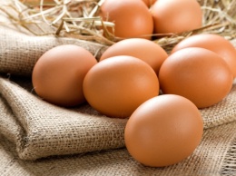 Ученые: 1 куриное яйцо в день снижает риск рака молочных желез