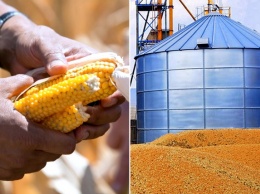 Украина исчерпала почти все квоты ЕС на поставки сельхозпродукции