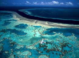 Австралия планирует защитить Большой барьерный риф от загрязнения