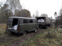 Российские таможеники обстреляли из табельного оружия грузовики с украинским мясом