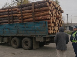В Луганской области продолжается операция "Лес"