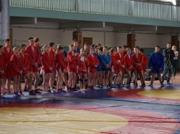 Одесситы победили в командном первенстве Всеукраинского открытого турнира по самбо