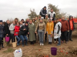 Херсонские юные волонтеры собирали помидоры для бойцов АТО (фото)
