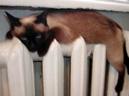В Павлограде началась подача тепла в дома