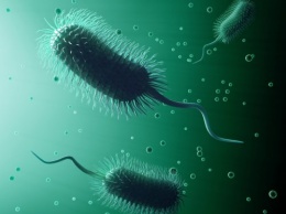 Швейцарские ученые создали бактерии-киборги