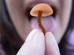 В Запорожской области девочка отравилась грибами