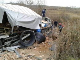 На Житомирщине грузовик слетел в кювет, водитель погиб